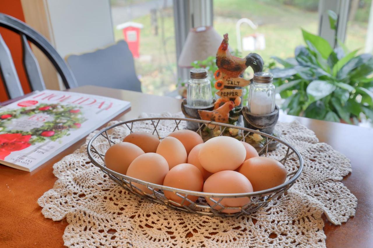 Hammer Creek Hideaway B&B Lititz Extérieur photo